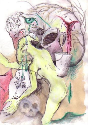 December 29 2005