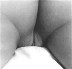 Pussy