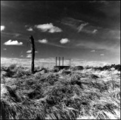 Field